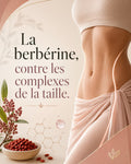 E-book - la bèrbérine, pour réussir ça transformation